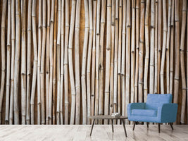 photo-wallpaper-dried-bamboos