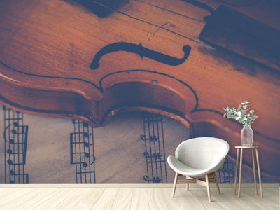 photo-wallpaper-old-violin