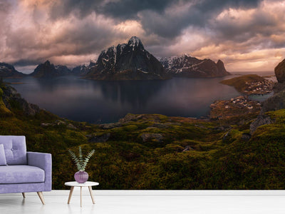 photo-wallpaper-reine-ii