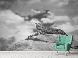 photo-wallpaper-leopard-on-a-kopje-x