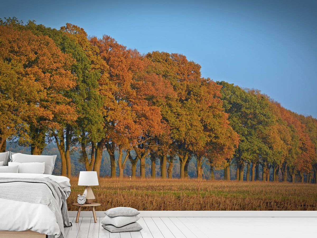 photo-wallpaper-beautiful-autumn