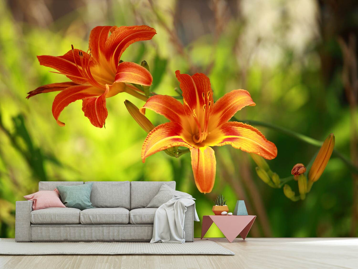 photo-wallpaper-lilies-in-nature