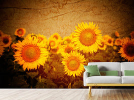 photo-wallpaper-retro-sunflower