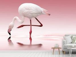 photo-wallpaper-flamingo