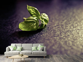 photo-wallpaper-basil-leaves