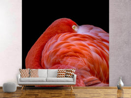 photo-wallpaper-flamingo-a