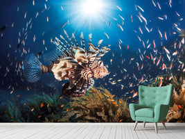 photo-wallpaper-lionfish