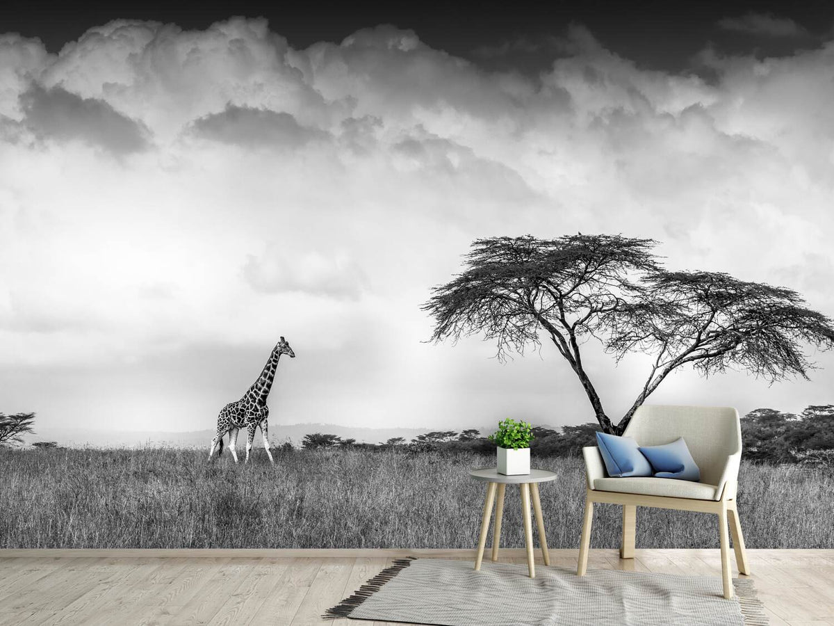 photo-wallpaper-and-i-dreamed-of-africa-x