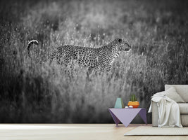 photo-wallpaper-leopard-s-mood-x