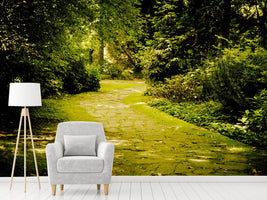 photo-wallpaper-moss-covered-path