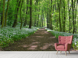 photo-wallpaper-we-love-the-summer-in-the-woods