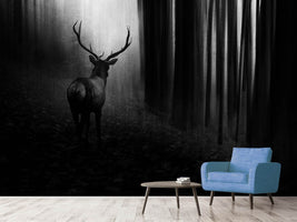 photo-wallpaper-stag