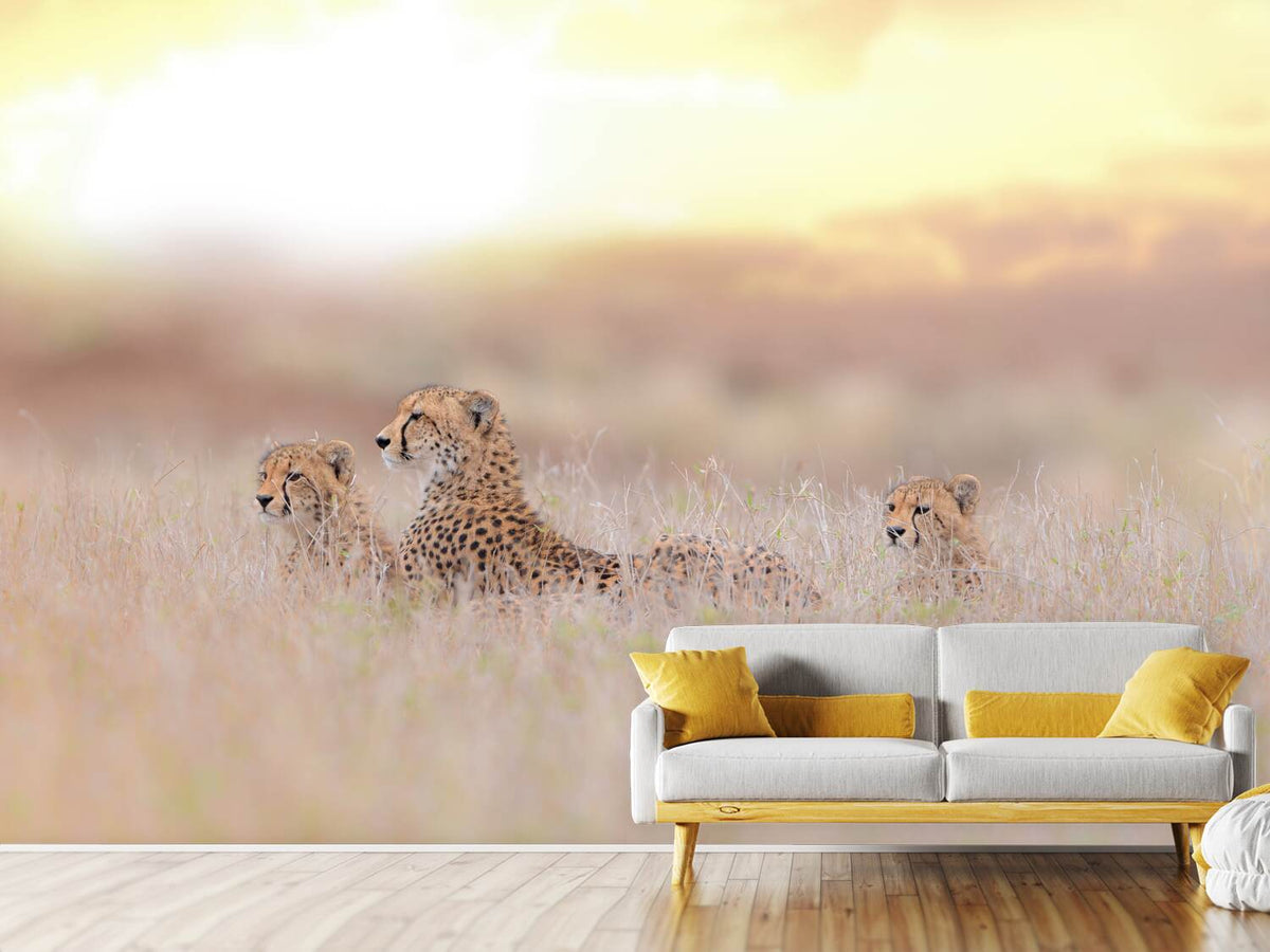 photo-wallpaper-cheetah-family-x