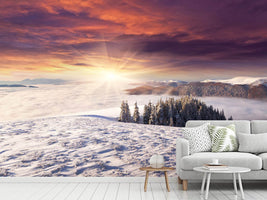 photo-wallpaper-sunrise-winter-landscape