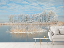 photo-wallpaper-winter-xfq