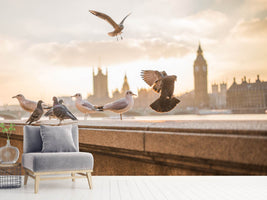 photo-wallpaper-the-pigeons-on-the-roof