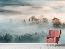 photo-wallpaper-winter-fog