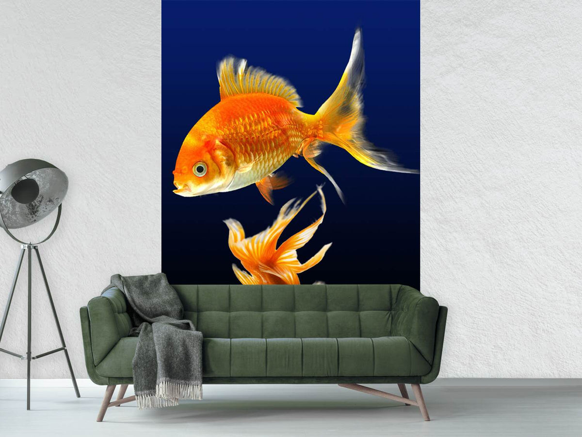 photo-wallpaper-charming-fish