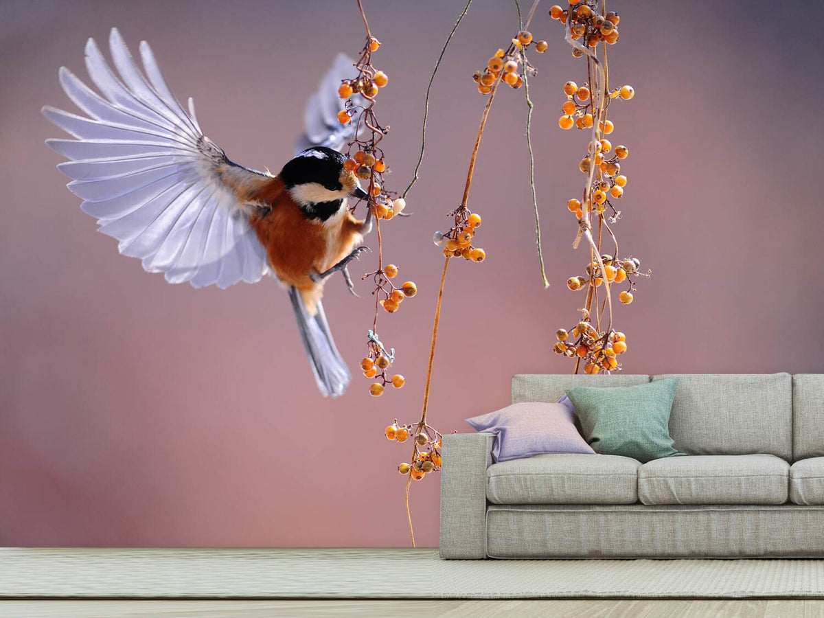 photo-wallpaper-bird-in-action