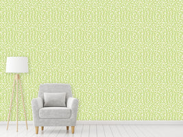 patterned-wallpaper-kiwi-star