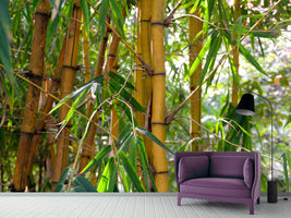 photo-wallpaper-wild-bamboo