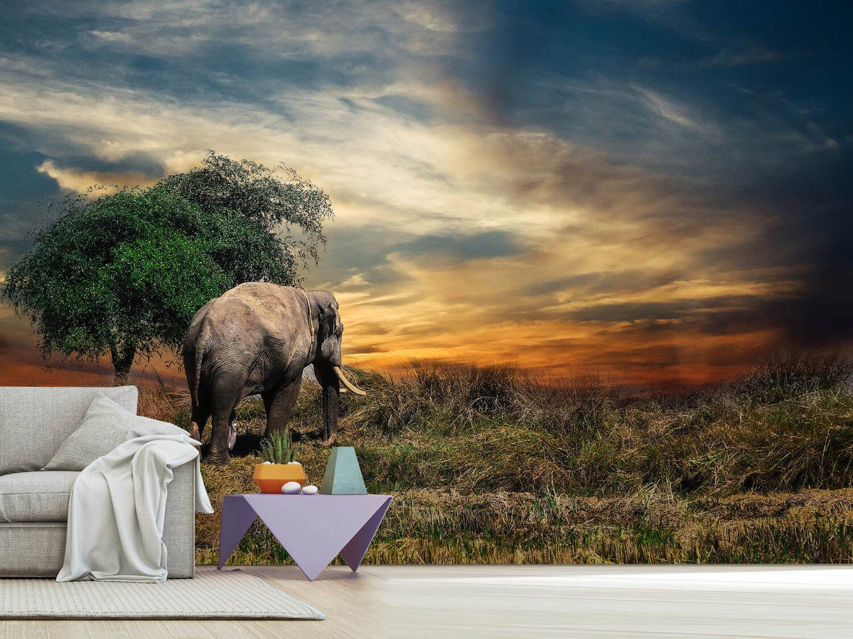 photo-wallpaper-the-elephant-in-the-sunset