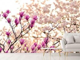 photo-wallpaper-beautiful-magnolia-xl