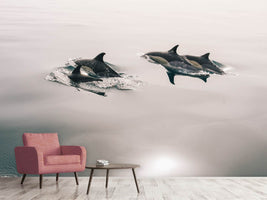 photo-wallpaper-the-dolphins