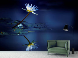 photo-wallpaper-reflection-xdb