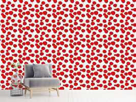 patterned-wallpaper-poppy-flowers-on-wire