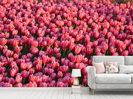 photo-wallpaper-lush-tulip-field