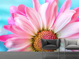 photo-wallpaper-colored-flower