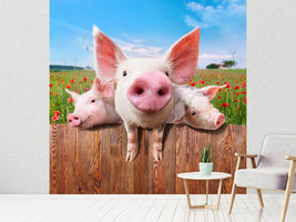 photo-wallpaper-pig-in-luck