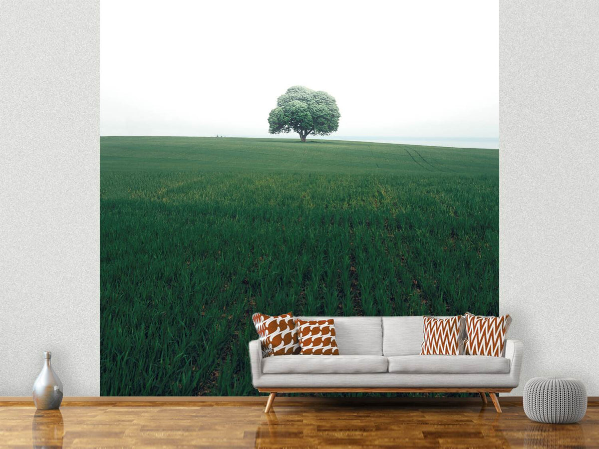 photo-wallpaper-the-lonely-oak-tree