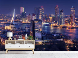 photo-wallpaper-big-rotterdam-ii