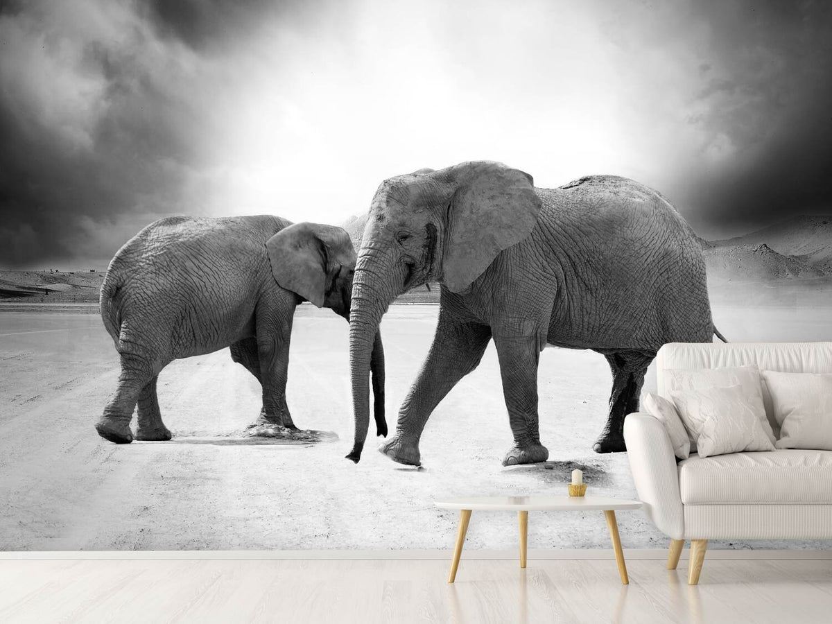 photo-wallpaper-2-elephants-sw