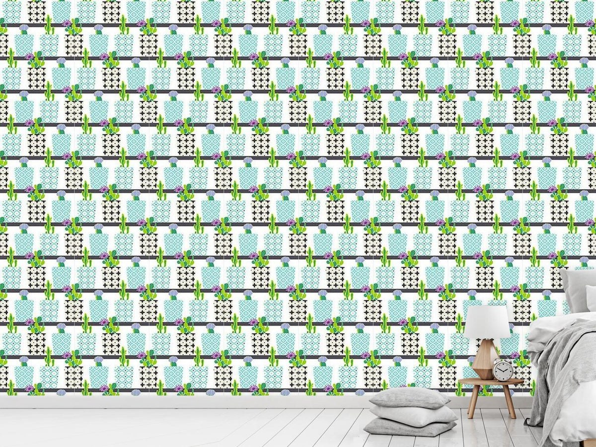 patterned-wallpaper-cactus-pots-on-shelves