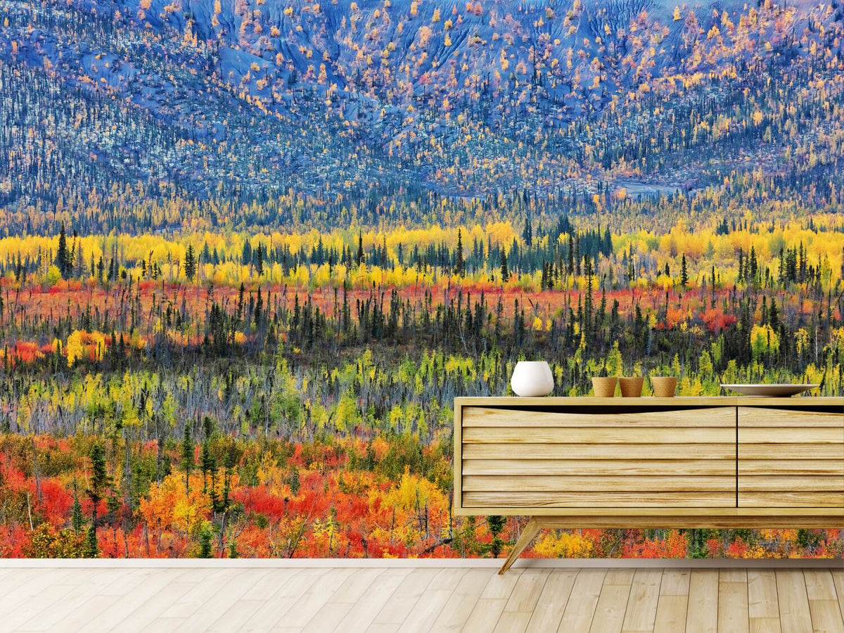 photo-wallpaper-fall-color-in-the-mountain-x