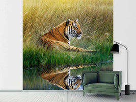 photo-wallpaper-the-tiger