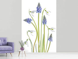 photo-wallpaper-muscari-and-galanthus