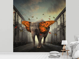 photo-wallpaper-butterphant