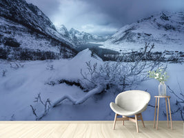 photo-wallpaper-winter-is-coming-a