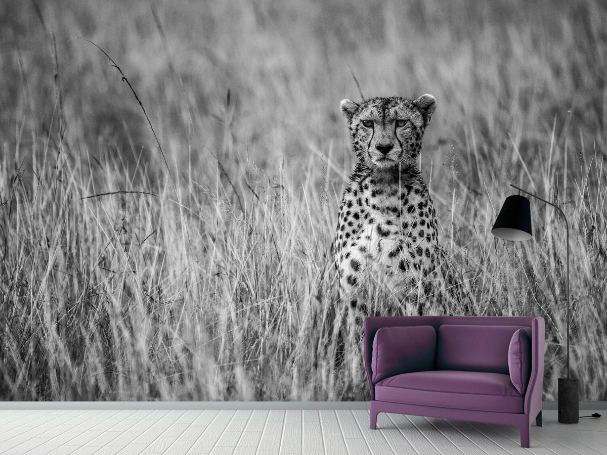 photo-wallpaper-cheetah-xdm