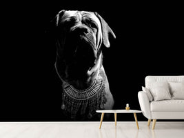 photo-wallpaper-the-boerboel-sw