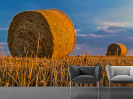 photo-wallpaper-straw-bales