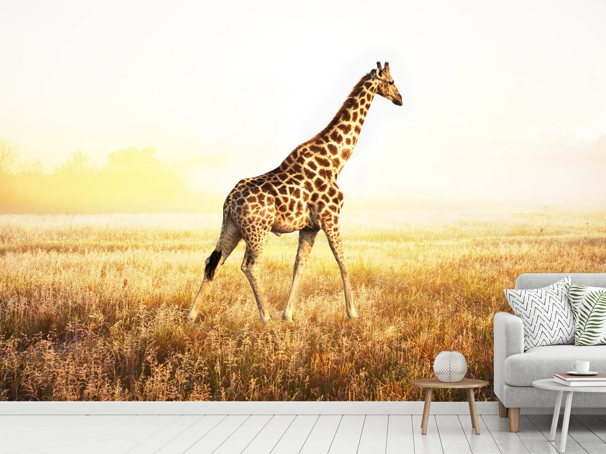 photo-wallpaper-the-giraffe