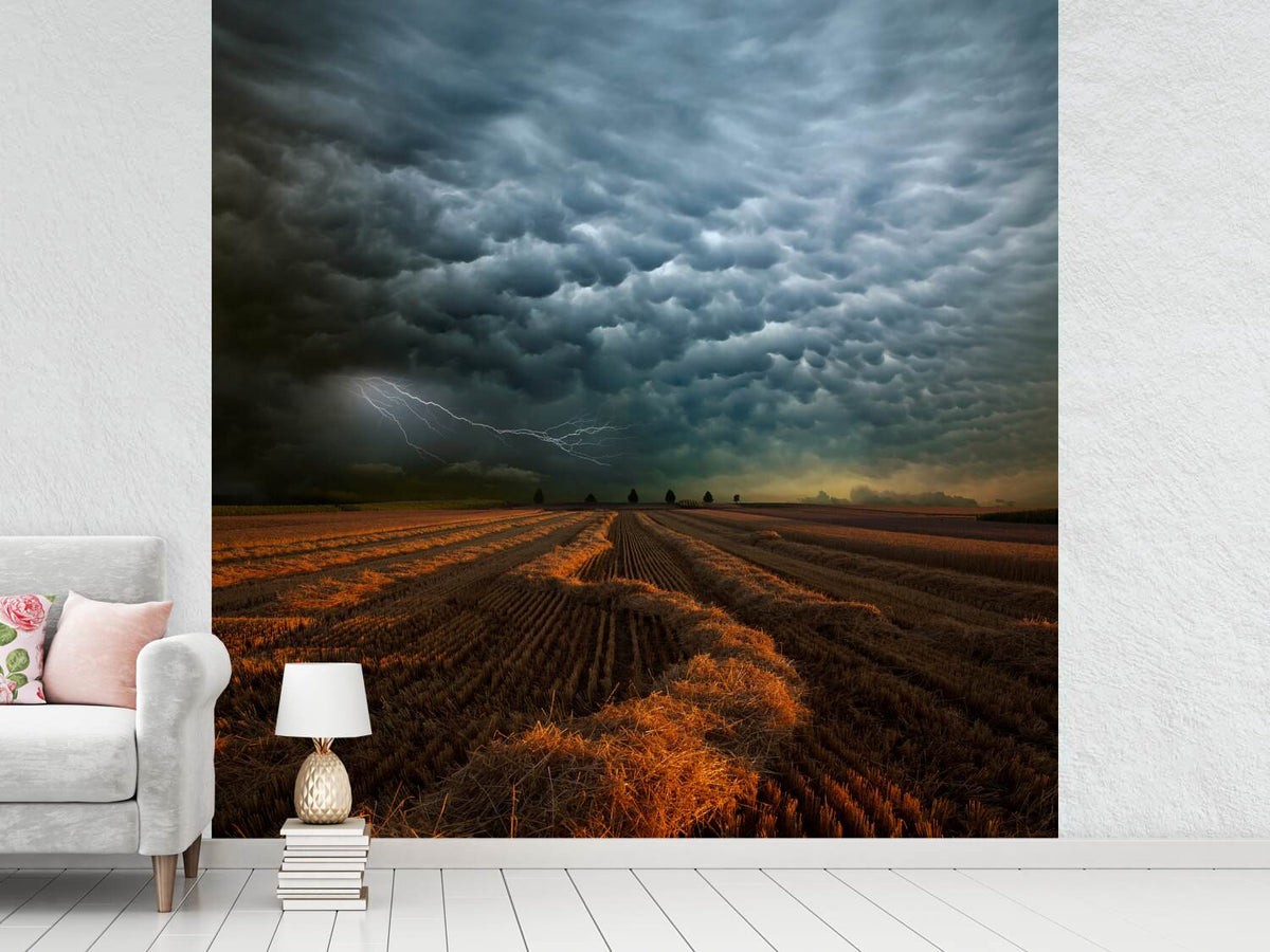 photo-wallpaper-mammatus