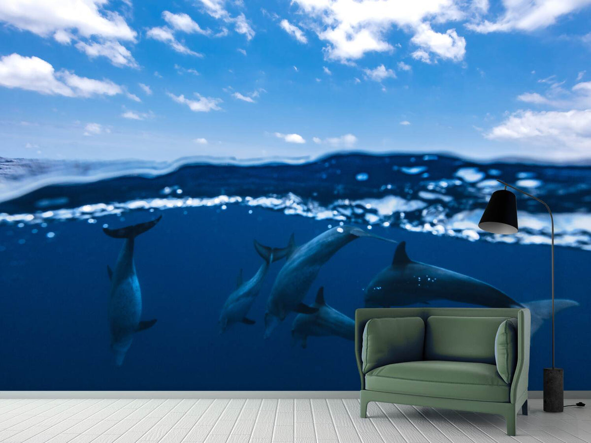 photo-wallpaper-between-air-and-water-with-the-dolphins