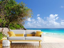 photo-wallpaper-dream-beach-seychelles