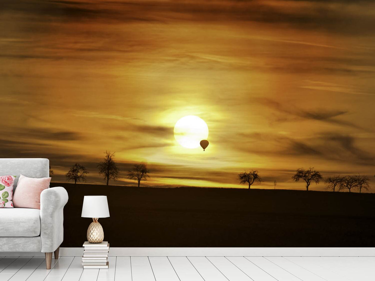 photo-wallpaper-sunset-with-hot-air-balloon